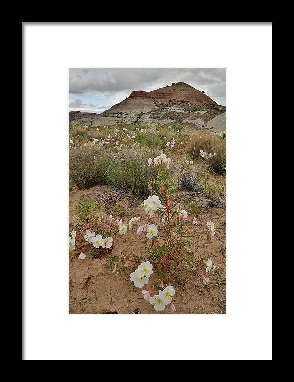 Ruby Mountain Framed Print featuring the photograph Ruby Mountain Desert Rose by Ray Mathis