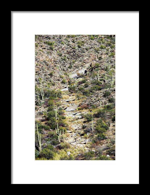 Desert Framed Print featuring the photograph Running Dry by Melisa Elliott