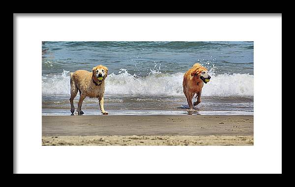 Ball Framed Print featuring the photograph Running Free by JAMART Photography