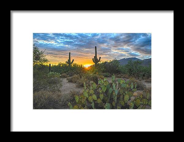 Sonoran Desert Framed Print featuring the photograph Sabino Canyon and Mount Kimball Sunset, Tucson, AZ by Chance Kafka