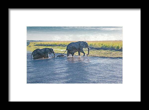 Elephants Framed Print featuring the photograph Safe Crossing by Marcy Wielfaert