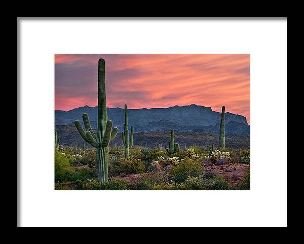 Arizona Sunset Framed Print featuring the photograph Saguaro Cactus with Arizona Sunset by Dave Dilli