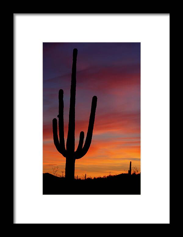 Saguaro Cactus Framed Print featuring the photograph Saguaro Sunrise by Phototropic