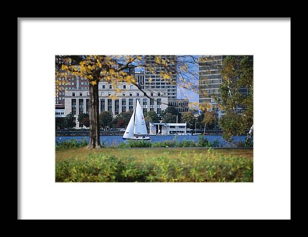 Grass Framed Print featuring the photograph Sailing Off The Esplanade On The by Lonely Planet