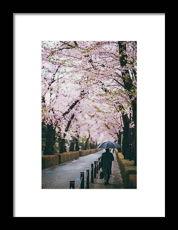 Walking Framed Print featuring the photograph Sakura Rain by Yuzo Fujii