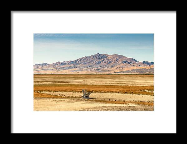 Landscape Framed Print featuring the photograph Salt Lake City, Utah, Usa Baren by Sean Pavone