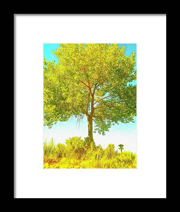 Tree Framed Print featuring the photograph Santa Fe Tree 2 by Marty Klar