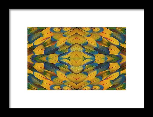 In A Row Framed Print featuring the photograph Scarlet Macaw Wing Feather Pattern by Darrell Gulin