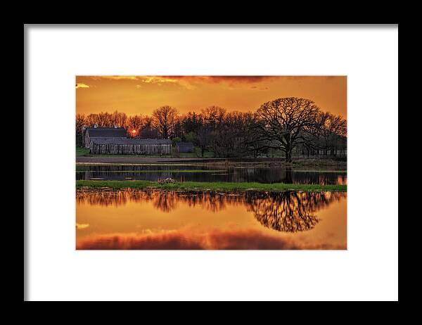 Pond Spring Sunset Goose Mother Goose Oak Tree Green Golden Barn Farm Wi Wisconsin Stoughton Madison Rural Scenic Horizontal Framed Print featuring the photograph Scenic Pondquility - Spring sunset over a Wisconsin farm scene with pond and nesting goose by Peter Herman