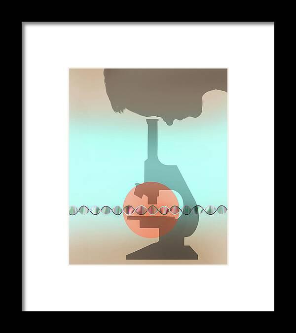 Adult Framed Print featuring the photograph Scientist Examining Double Helix by Ikon Images