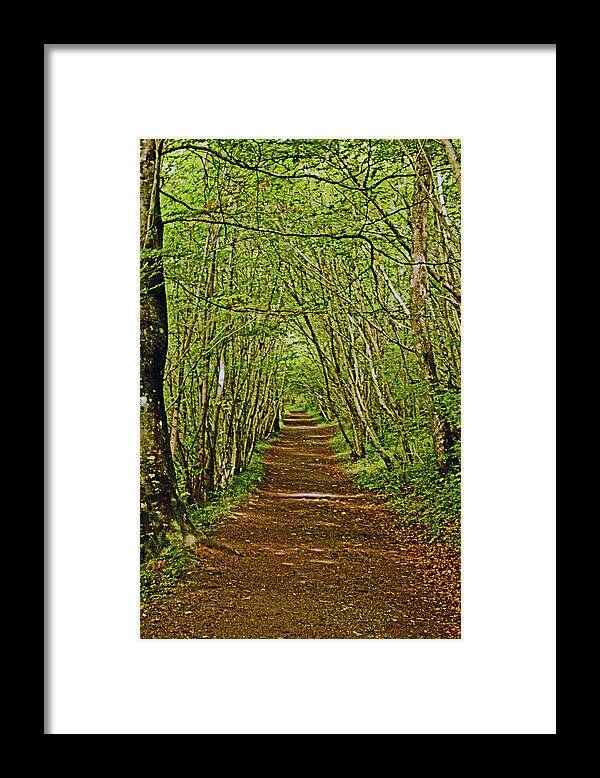 Scotland Framed Print featuring the photograph SCOTLAND. Killiecrankie. Path Through The Trees. by Lachlan Main