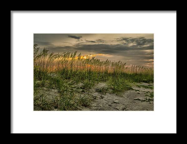 Seascape Framed Print featuring the photograph Sea Grass by Ray Silva