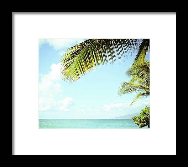 Palm Tree Framed Print featuring the photograph Sea Palms by Lupen Grainne