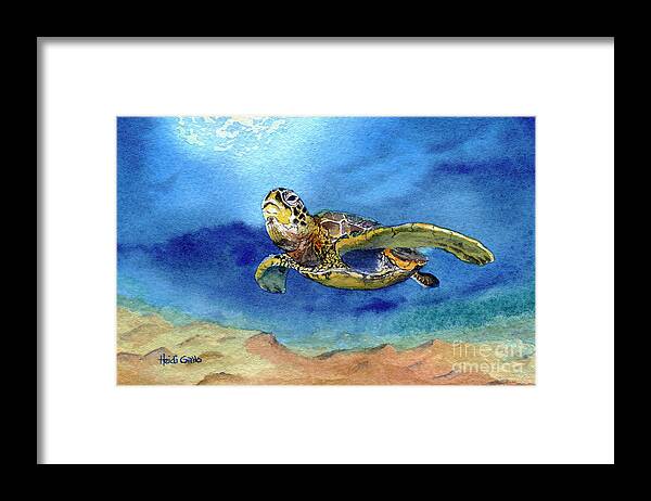 Watercolor Framed Print featuring the painting Sea Turtle by Heidi Gallo