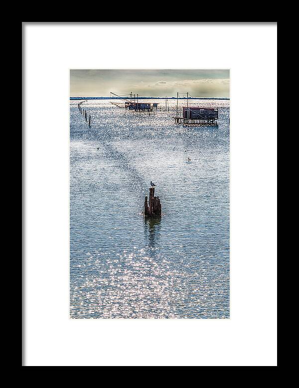 Emilia Framed Print featuring the photograph Seagull And Fishing Huts With Netfish by Vivida Photo PC