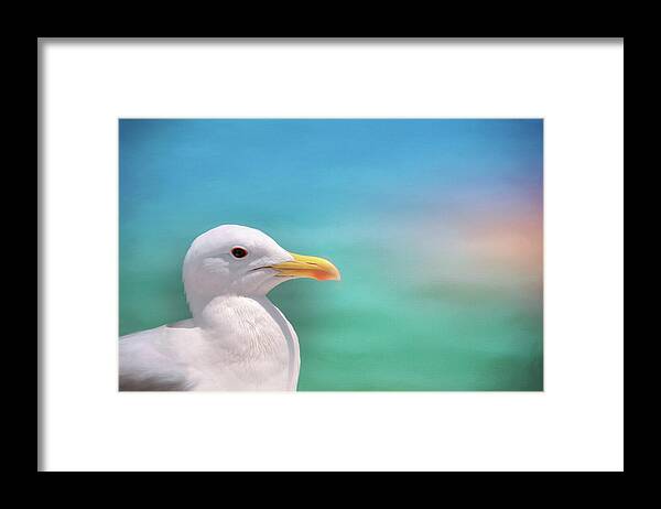 Seagull Framed Print featuring the photograph Seagull by the Sea by Carol Japp