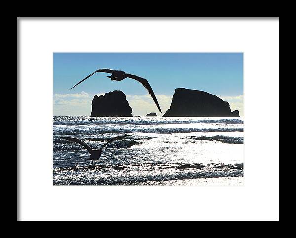 Seagulls Framed Print featuring the photograph Seagulls at Point Grenville by Scenic Edge Photography