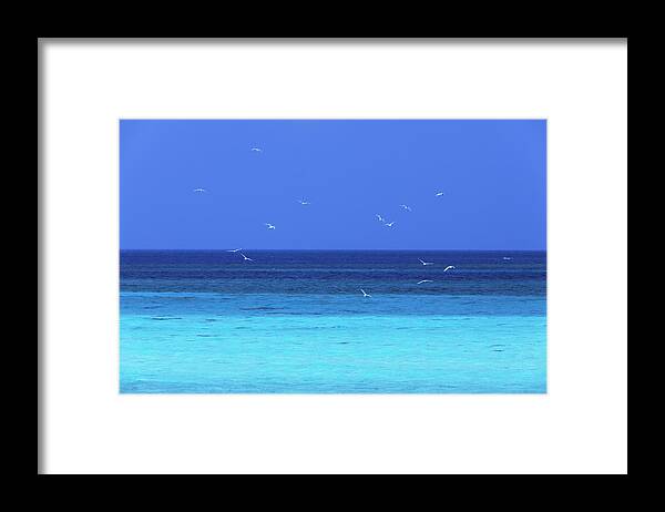 Tranquility Framed Print featuring the photograph Seascape by Imagewerks