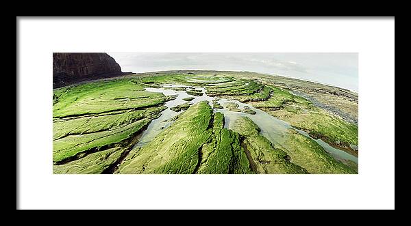 Scenics Framed Print featuring the photograph Seaweed Collection by Kari Siren
