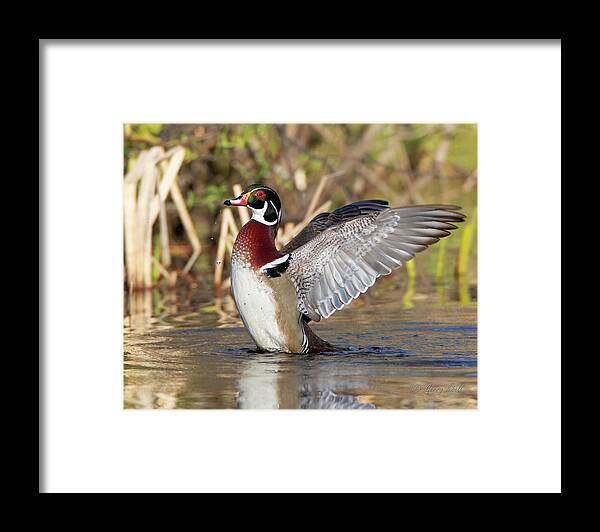 Nature Framed Print featuring the photograph See How Beautiful I Am by Gerry Sibell