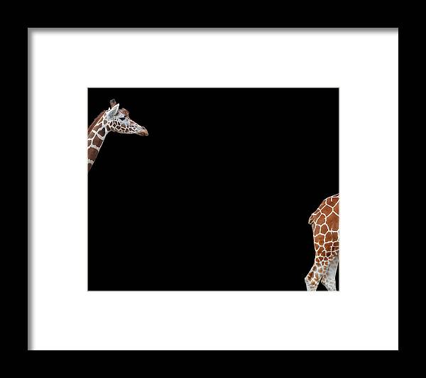 Giraffe Framed Print featuring the photograph See You by Heidi Westum