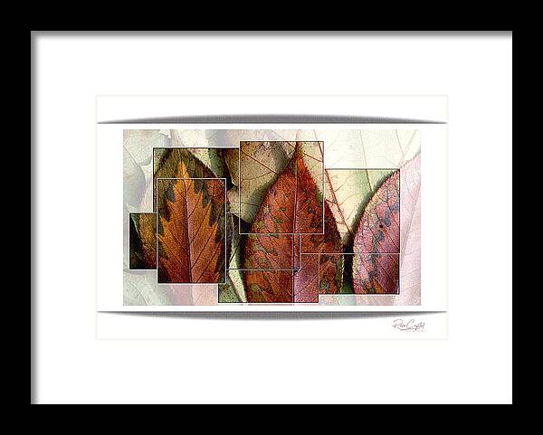 Leaves Framed Print featuring the photograph Segmented Autumn by Rene Crystal