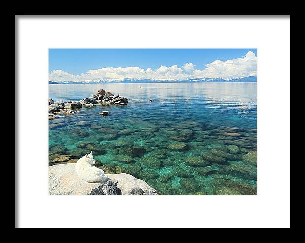 Sekani Framed Print featuring the photograph Sekani Summer by Sean Sarsfield