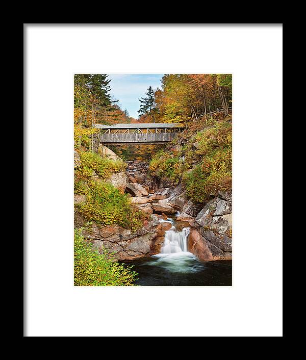 Sentinel Pine Bridge Framed Print featuring the photograph Sentinel Pine Bridge by Michael Blanchette Photography