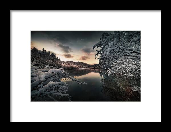 Fog Framed Print featuring the photograph Serenity by Anze Zajc