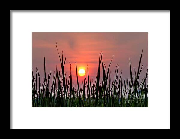 Sunset Framed Print featuring the photograph Setting Sun by DJA Images