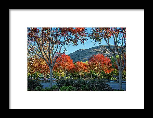 Simi Valley Framed Print featuring the photograph Shades of Fall at the Metrolink by Lynn Bauer