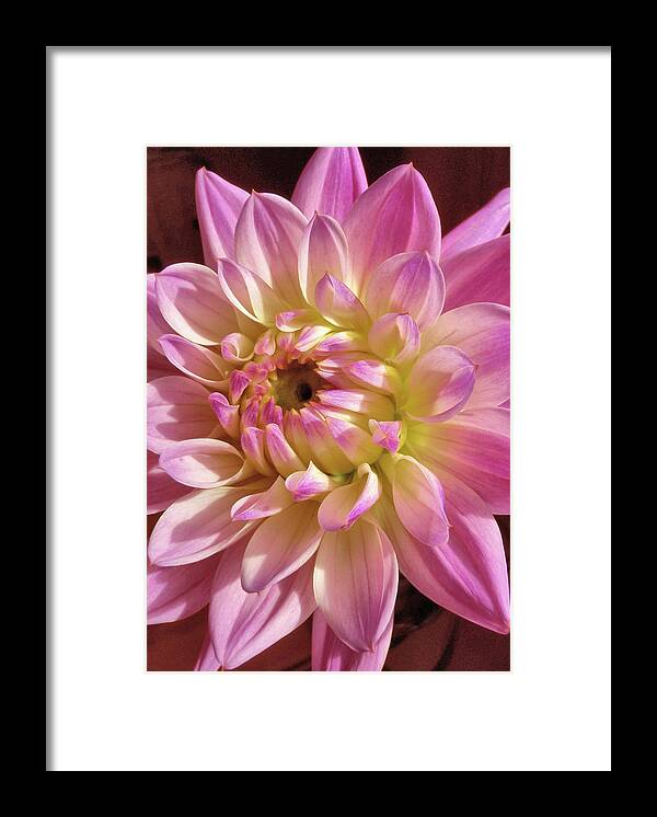 Arrival Framed Print featuring the photograph Shades Of Pink by JAMART Photography