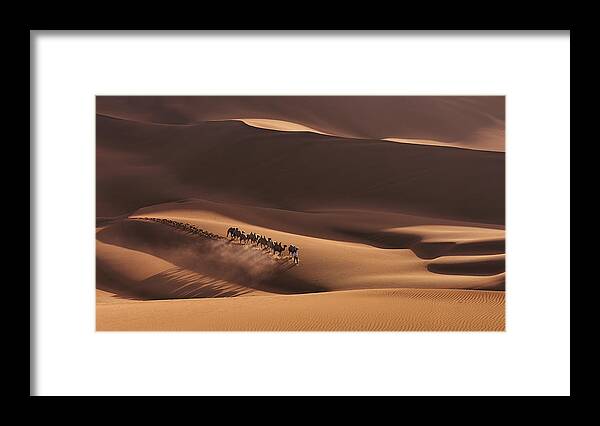 Desert Framed Print featuring the photograph Shadows In The Desert by Mei Xu