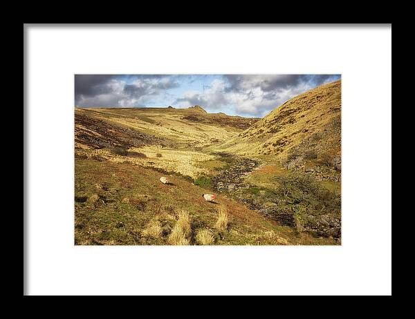 Scenics Framed Print featuring the photograph Sheep On The Moors by Nicolamargaret