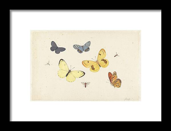 Sheet Of Studies With Five Butterflies Framed Print featuring the painting Sheet of Studies with Five Butterflies by MotionAge Designs