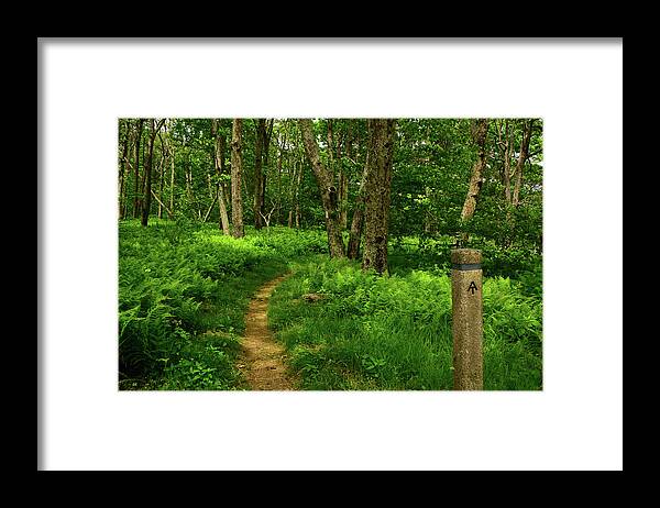 Shenandoah National Park Appalachian Trail Framed Print featuring the photograph Shenandoah National Park Appalachian Trail by Raymond Salani III
