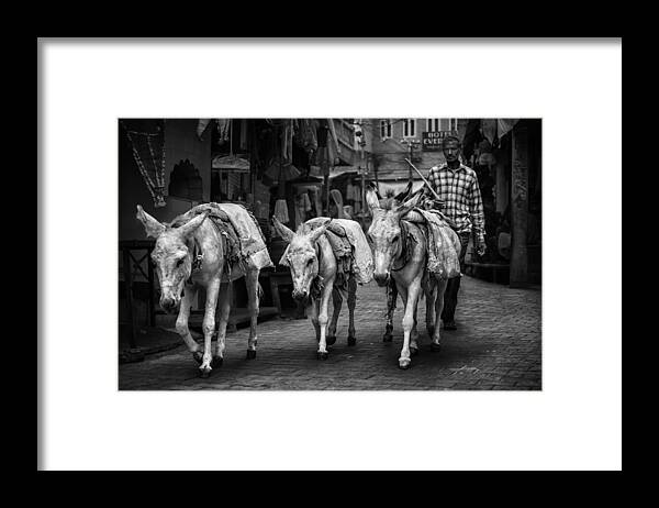 Shepherd Framed Print featuring the photograph Shepherd In The Streets Of Pushkar by Pavol Stranak