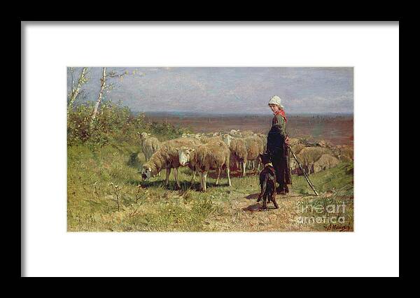 Shepherdess Oil On Canvas Framed Print featuring the painting Shepherdess by Anton Mauve