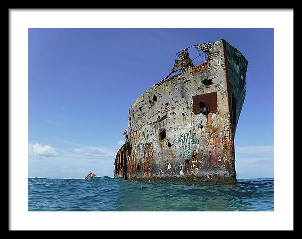 Ss Sapona Framed Print featuring the photograph Shipwreck of the Cement Boat Sapona by Dan Podsobinski