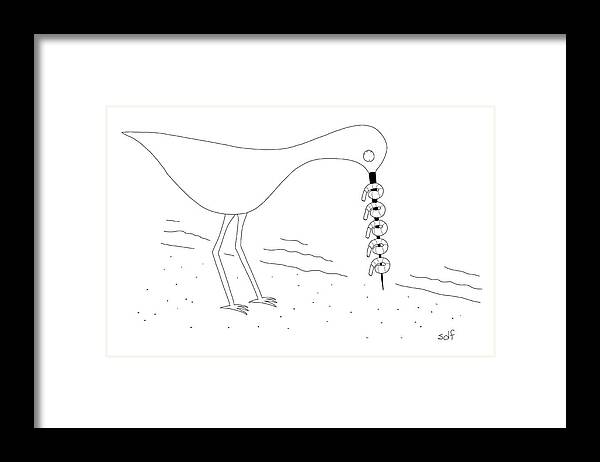 Seagull Framed Print featuring the drawing Shrimp Skewer by Seth Fleishman