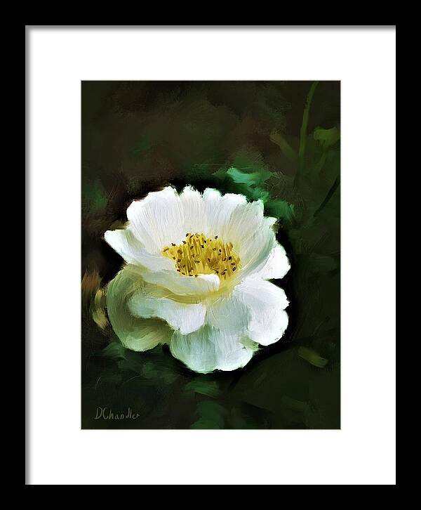 Rose Framed Print featuring the digital art Simple Beauty by Diane Chandler