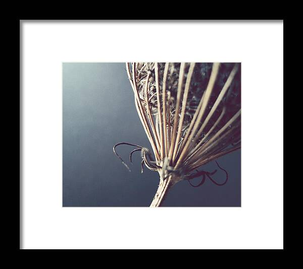 Abstract Photography Framed Print featuring the photograph Simple Form by Lupen Grainne