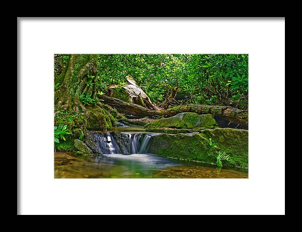 Blue Ridge Parkway Framed Print featuring the photograph Sims Creek Waterfall by Meta Gatschenberger