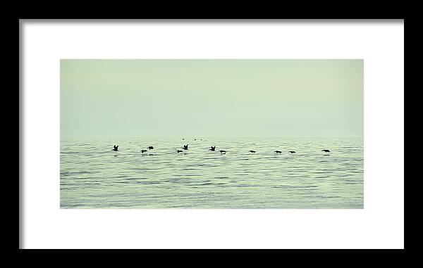 Aggressively Framed Print featuring the photograph Skimming Pelicans by JAMART Photography