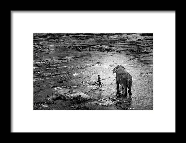 Animals Framed Print featuring the photograph Slavery by Baris Guven