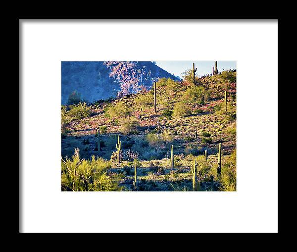 Arizona Framed Print featuring the photograph Slope of the Saguaros by Judy Kennedy
