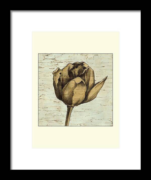 Botanical & Floral Framed Print featuring the painting Small Tulip Impressions IIi (p) by Ethan Harper