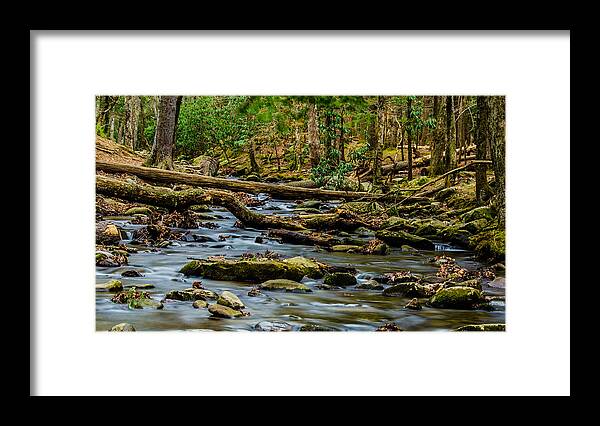 Abrams Creek Framed Print featuring the photograph Smoky Mountain Stream by Douglas Wielfaert