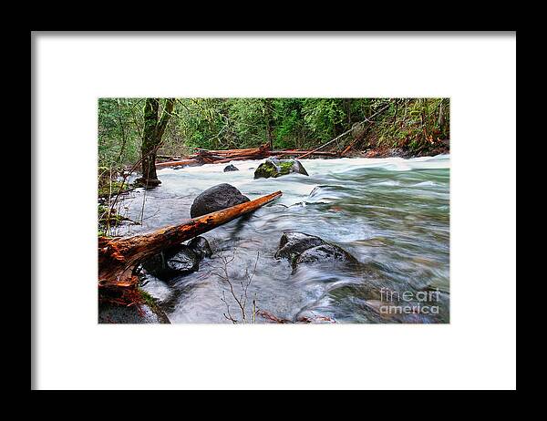 Flooded River Creek Framed Print featuring the photograph smooth fast flowing Roaring River storm level high water flowing over banks logs lining riverbanks by Robert C Paulson Jr