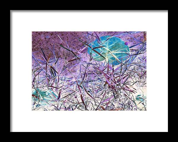 Surreal-nature-photos Framed Print featuring the digital art Snared Sea Grapes I.C. by John Hintz